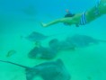 /album/moorea/pb290151-jpg/